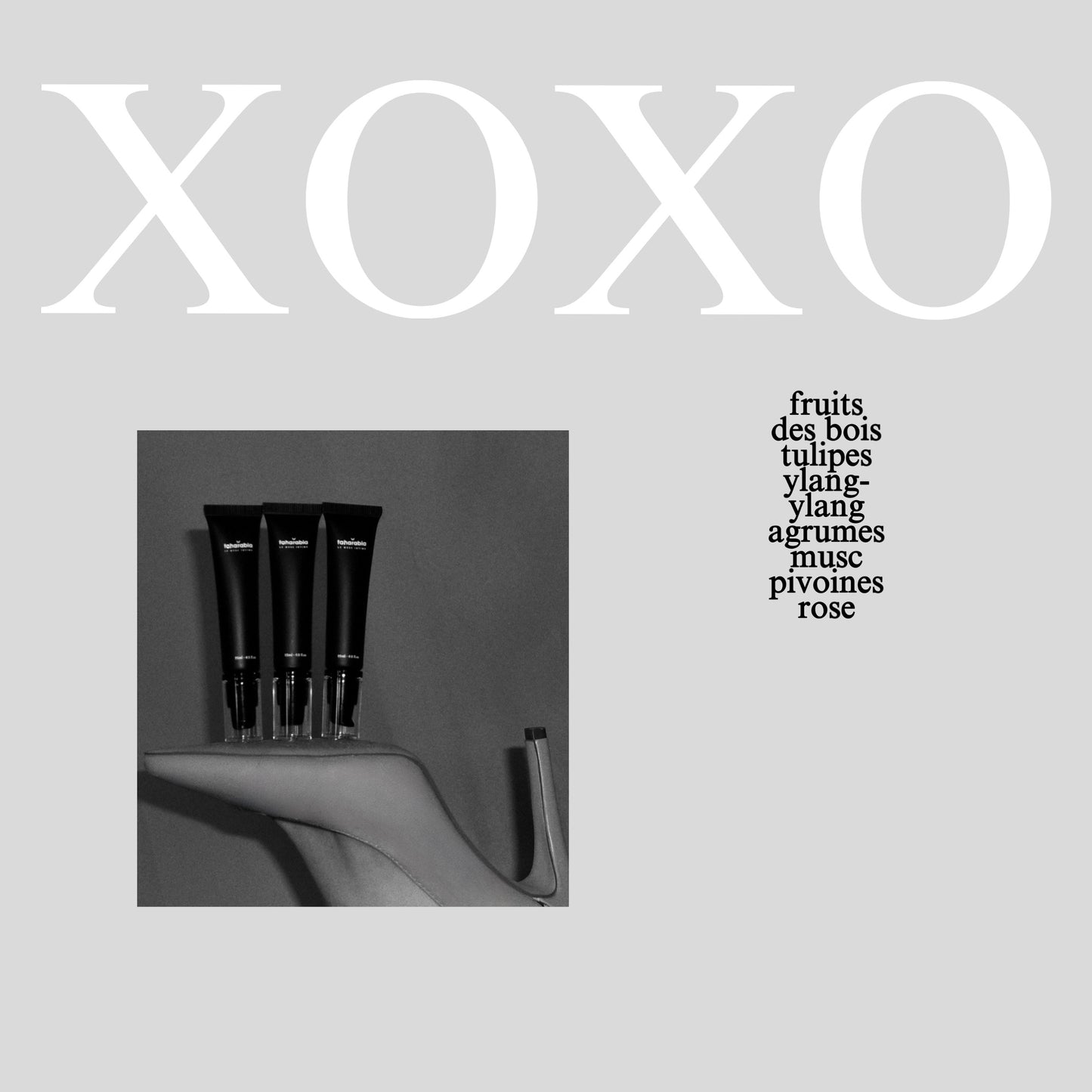 Musc Xoxo